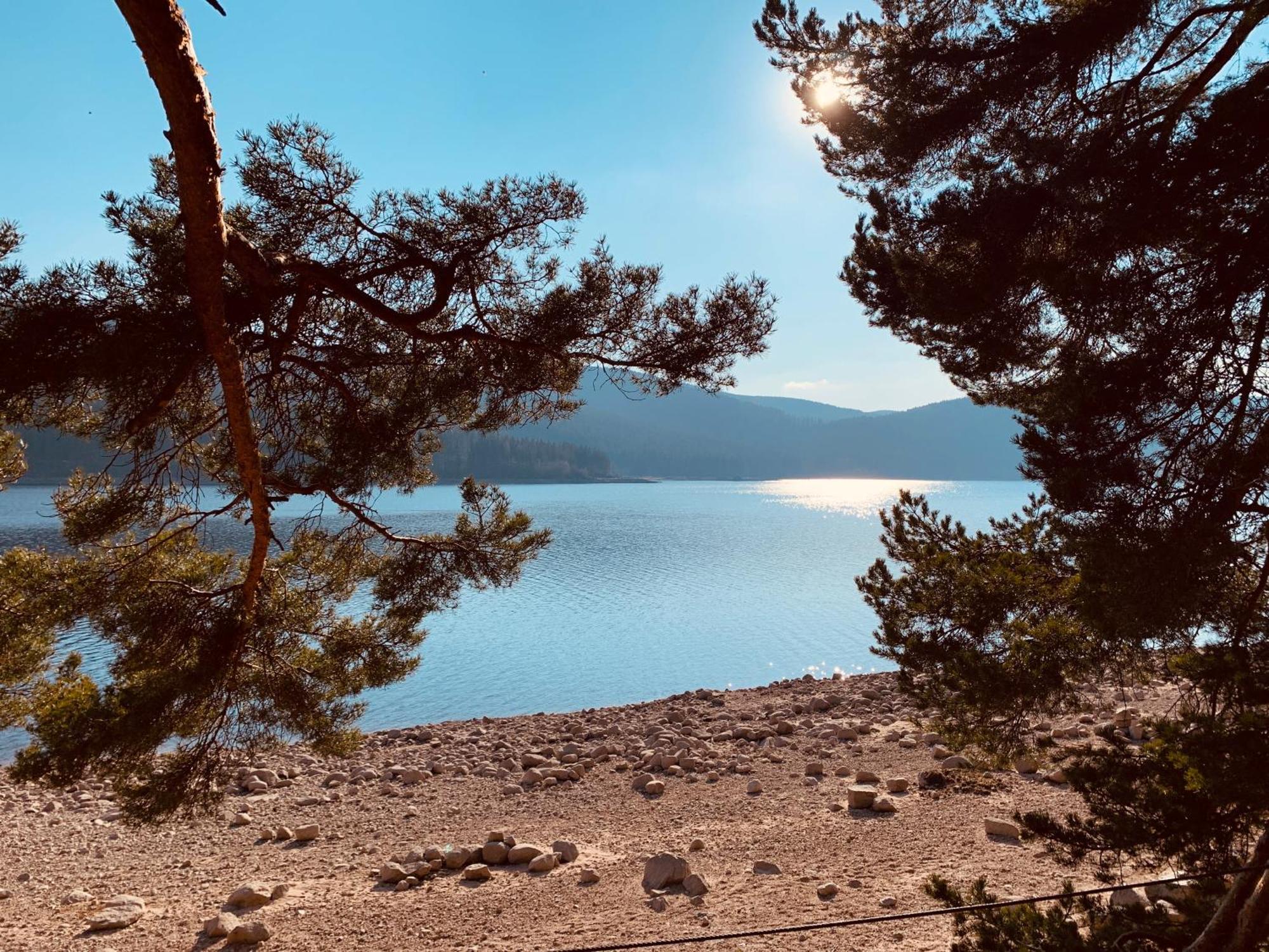 Kurhotel Schluchsee Apartment 2411 外观 照片
